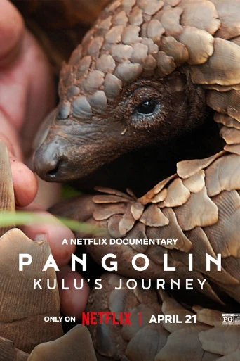 Pangolin: Kulu'nun Yolculuğu