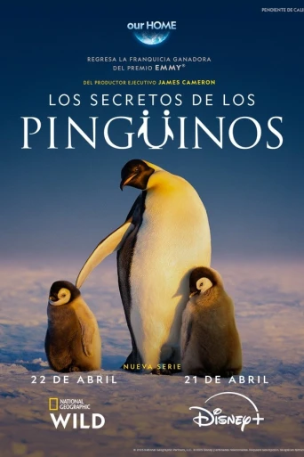 Penguenlerin Gizemli Dünyası